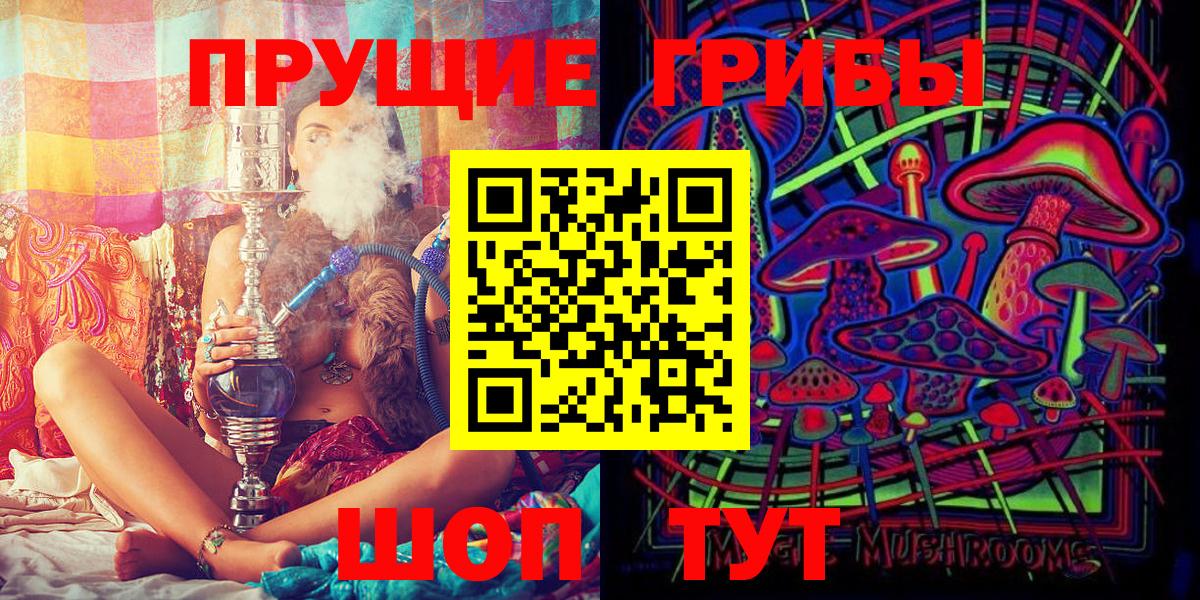 Псилоцибиновые грибы прущие грибы  где найти   Касимов  Вход с VPN  Галлюциногенные грибы мицелий 